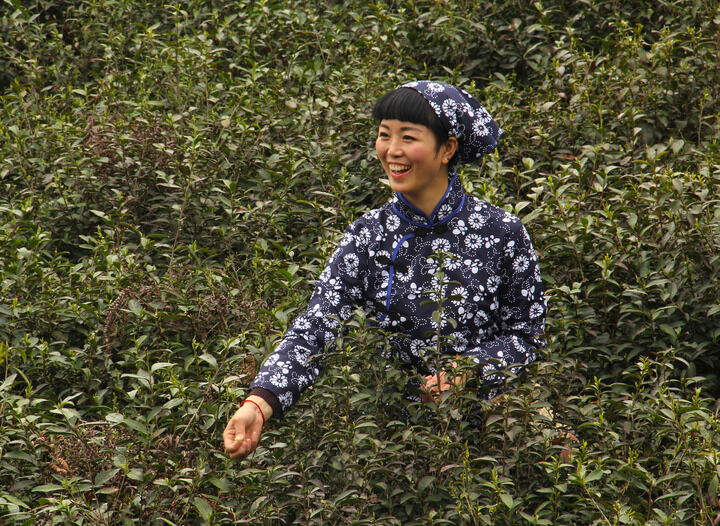 我秀直舞 烟雾缭绕